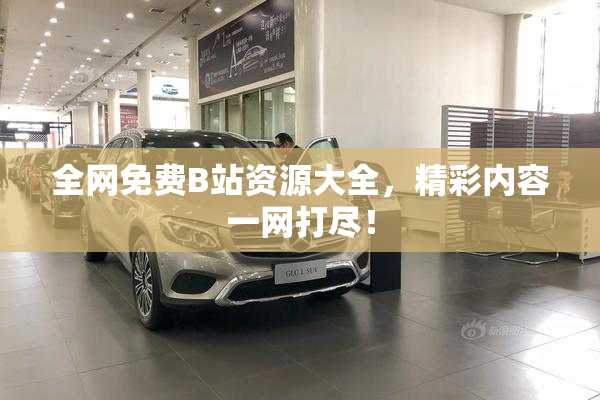 全网免费B站资源大全，精彩内容一网打尽！