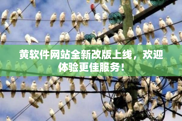 黄软件网站全新改版上线，欢迎体验更佳服务！