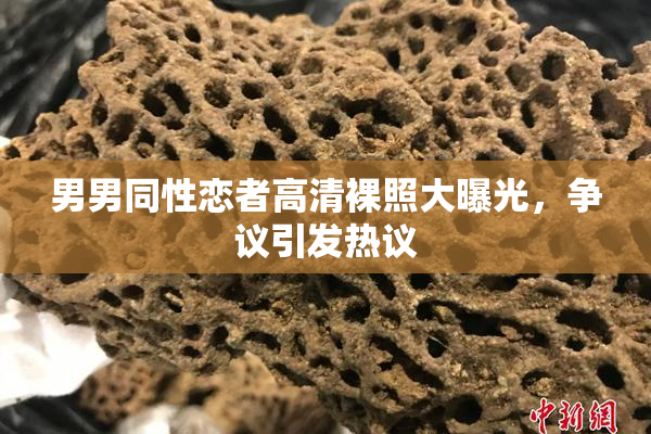 男男同性恋者高清裸照大曝光，争议引发热议