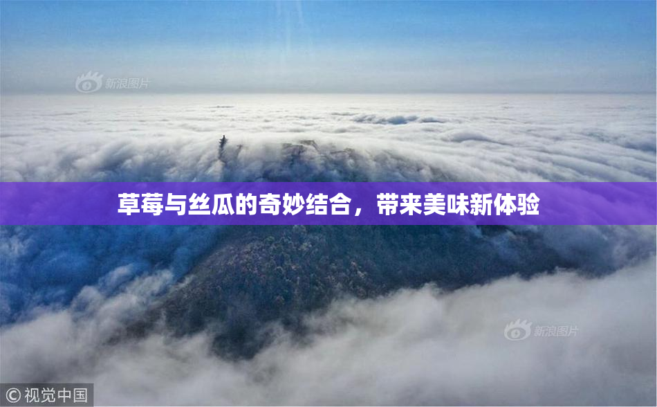 草莓与丝瓜的奇妙结合，带来美味新体验