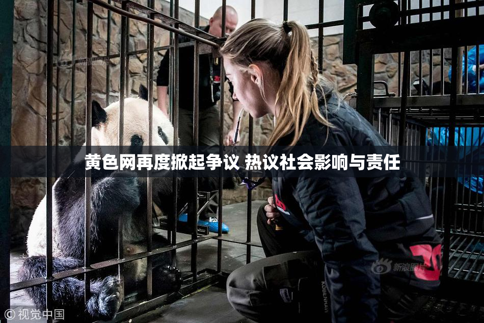黄色网再度掀起争议 热议社会影响与责任