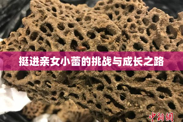 挺进亲女小蕾的挑战与成长之路