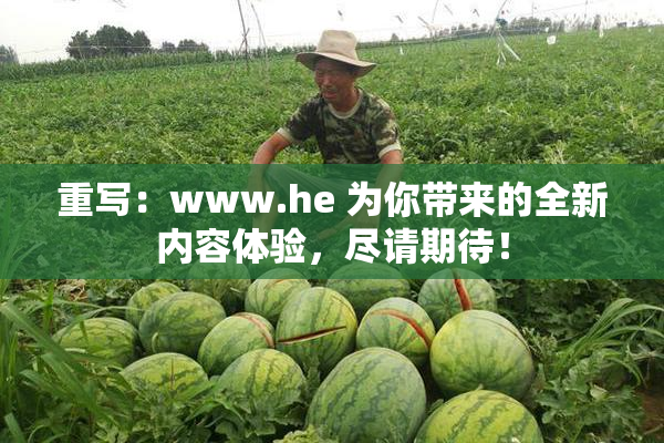 重写：www.he 为你带来的全新内容体验，尽请期待！