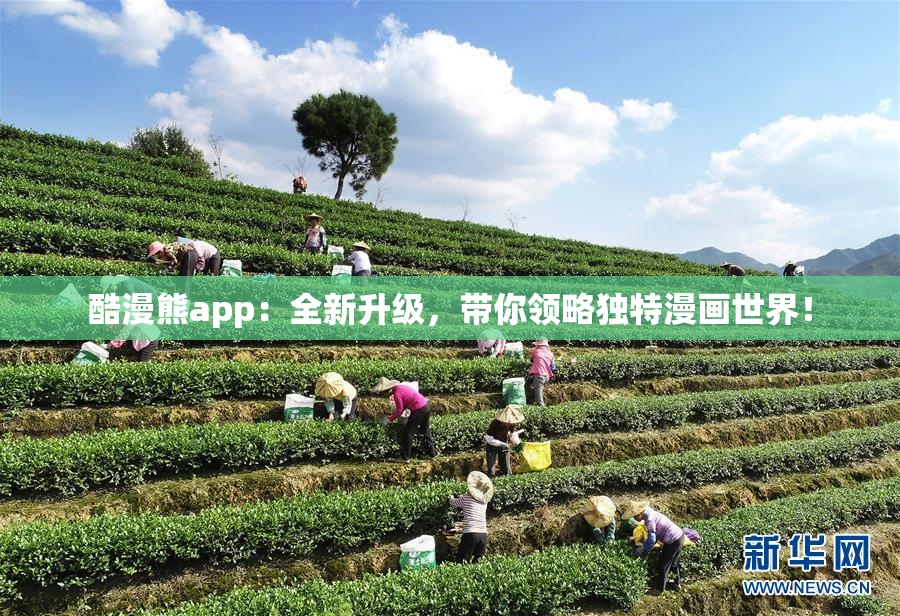 酷漫熊app：全新升级，带你领略独特漫画世界！