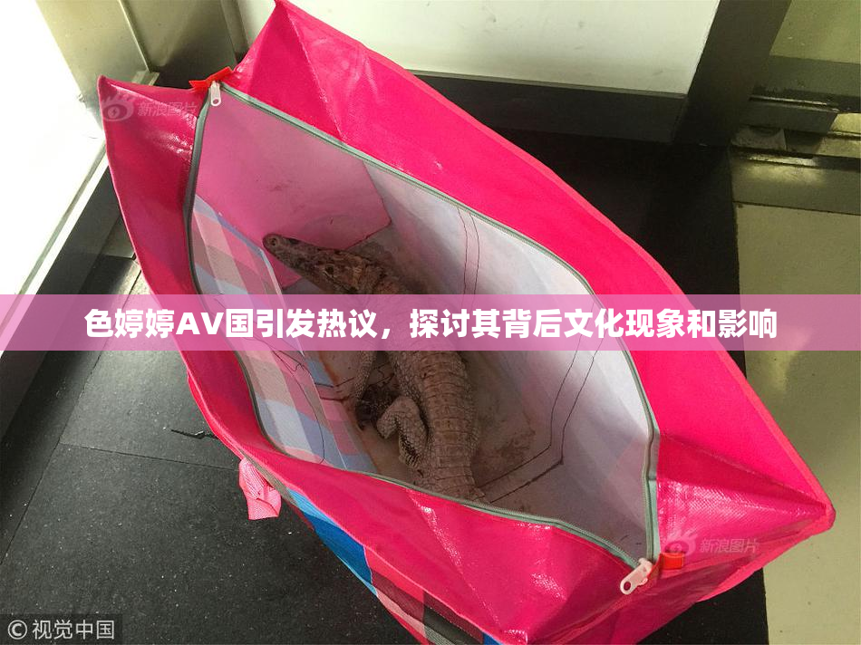色婷婷AV国引发热议，探讨其背后文化现象和影响