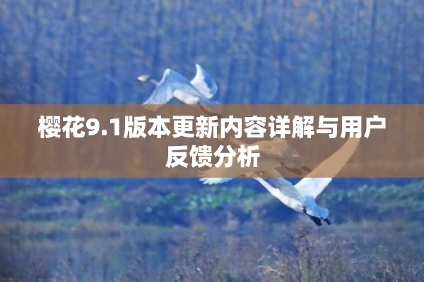 樱花9.1版本更新内容详解与用户反馈分析