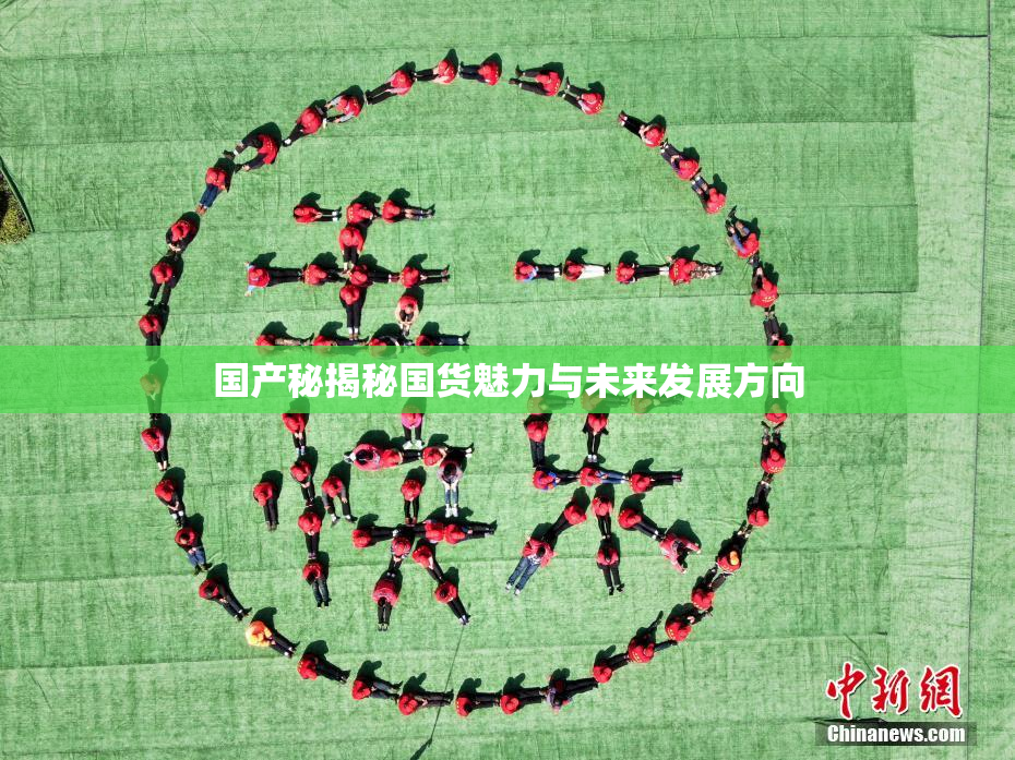 国产秘揭秘国货魅力与未来发展方向