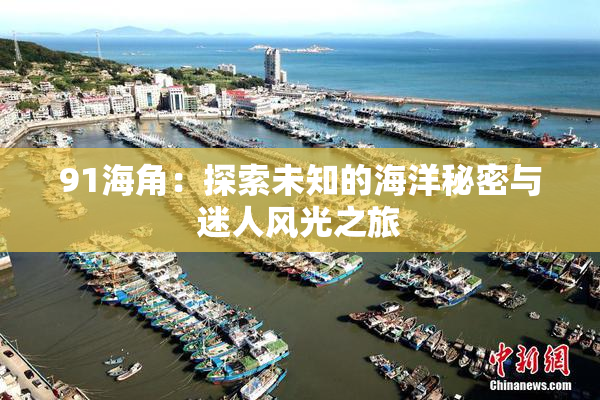 91海角：探索未知的海洋秘密与迷人风光之旅