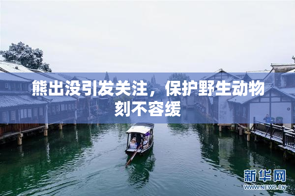 熊出没引发关注，保护野生动物刻不容缓