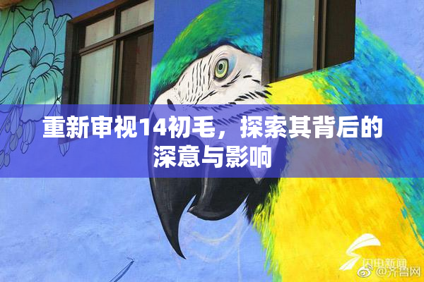重新审视14初毛，探索其背后的深意与影响