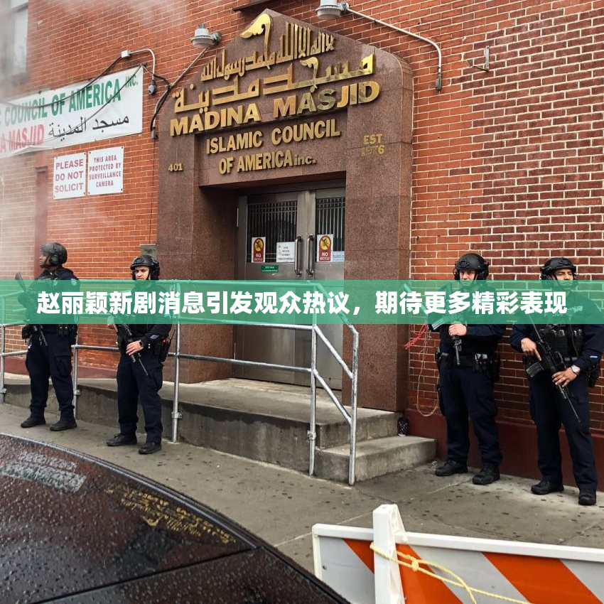 赵丽颖新剧消息引发观众热议，期待更多精彩表现