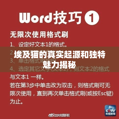 埃及猫的真实起源和独特魅力揭秘
