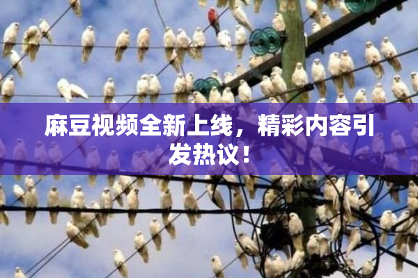 麻豆视频全新上线，精彩内容引发热议！