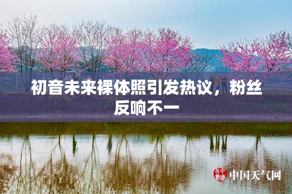 初音未来裸体照引发热议，粉丝反响不一