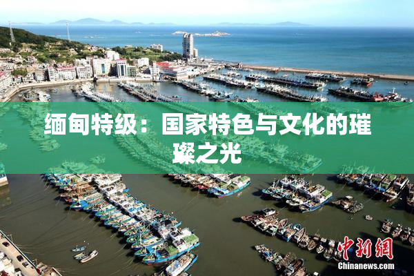 缅甸特级：国家特色与文化的璀璨之光