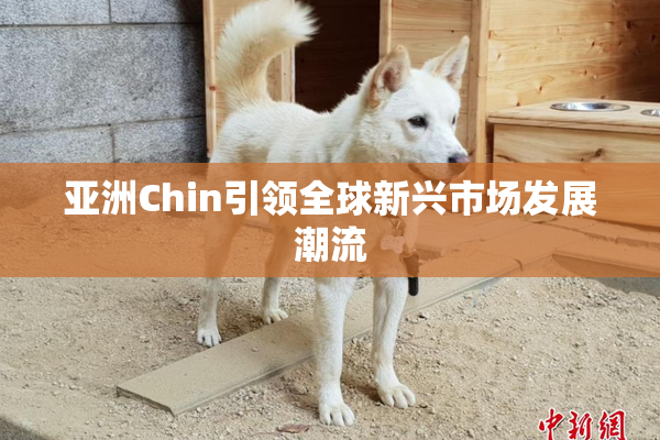 亚洲Chin引领全球新兴市场发展潮流