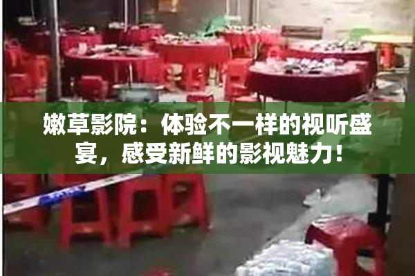 嫩草影院：体验不一样的视听盛宴，感受新鲜的影视魅力！
