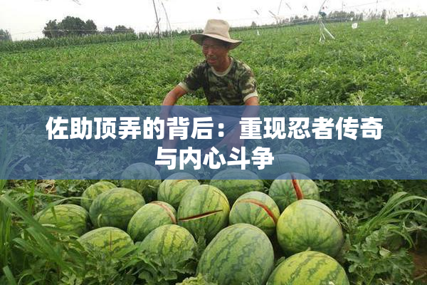 佐助顶弄的背后：重现忍者传奇与内心斗争