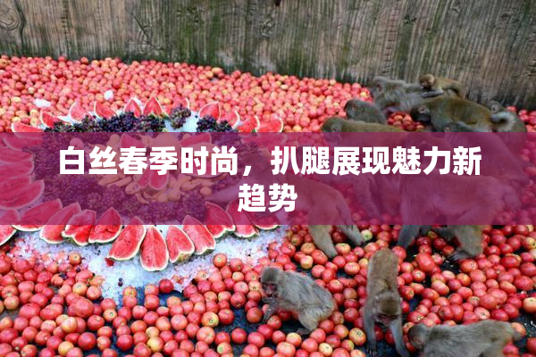 白丝春季时尚，扒腿展现魅力新趋势