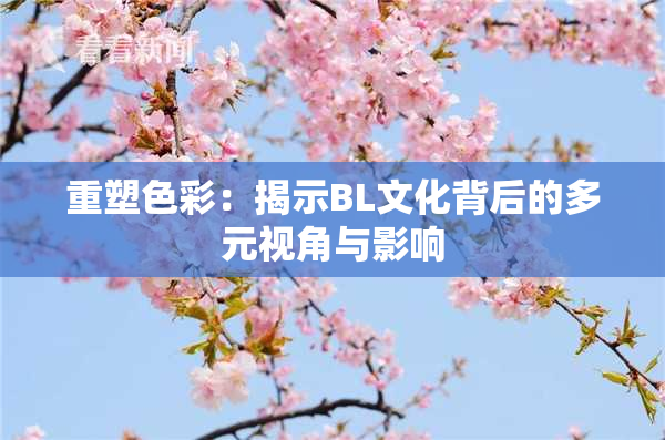 重塑色彩：揭示BL文化背后的多元视角与影响