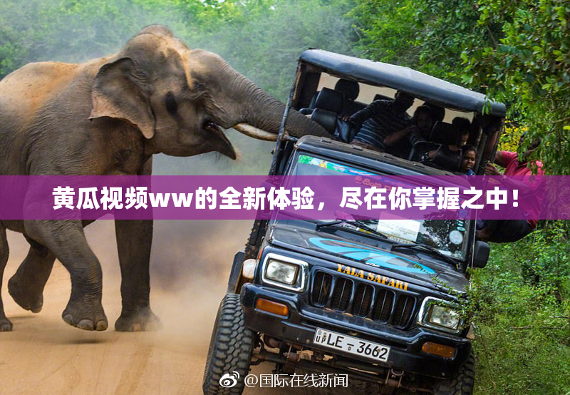 黄瓜视频ww的全新体验，尽在你掌握之中！