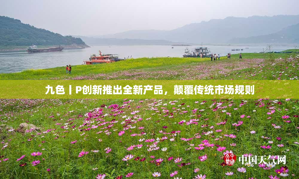 九色丨P创新推出全新产品，颠覆传统市场规则