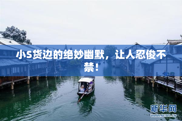 小S货边的绝妙幽默，让人忍俊不禁！