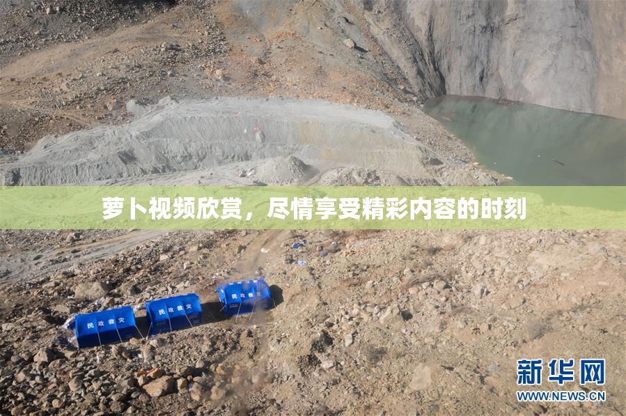 萝卜视频欣赏，尽情享受精彩内容的时刻