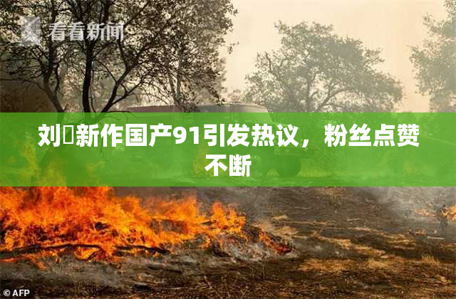 刘玥新作国产91引发热议，粉丝点赞不断