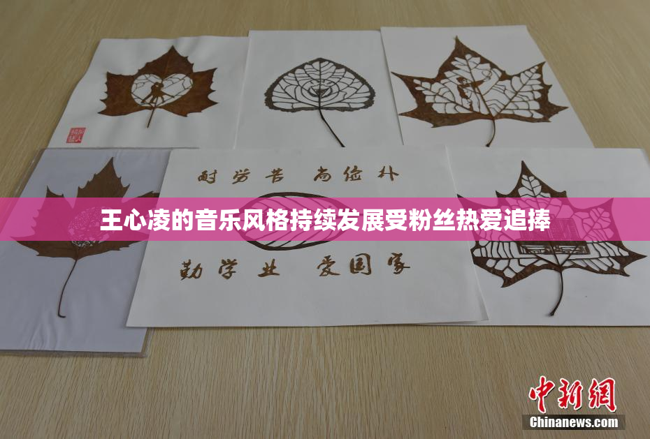 王心凌的音乐风格持续发展受粉丝热爱追捧