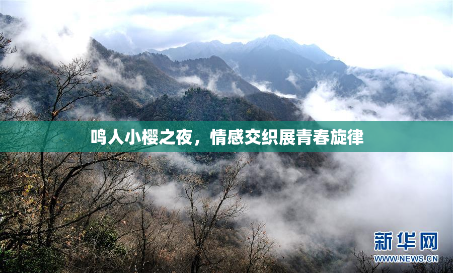 鸣人小樱之夜，情感交织展青春旋律