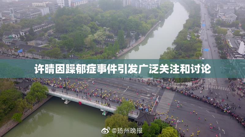许晴因躁郁症事件引发广泛关注和讨论