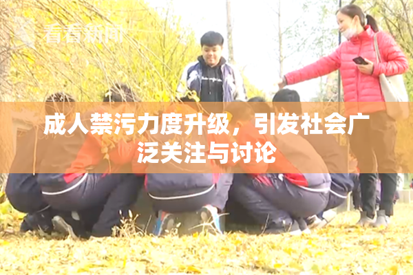 成人禁污力度升级，引发社会广泛关注与讨论