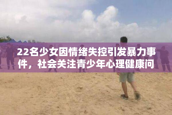 22名少女因情绪失控引发暴力事件，社会关注青少年心理健康问题