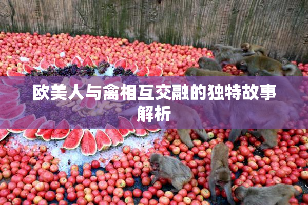 欧美人与禽相互交融的独特故事解析