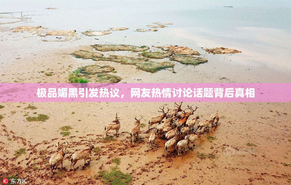 极品媚黑引发热议，网友热情讨论话题背后真相