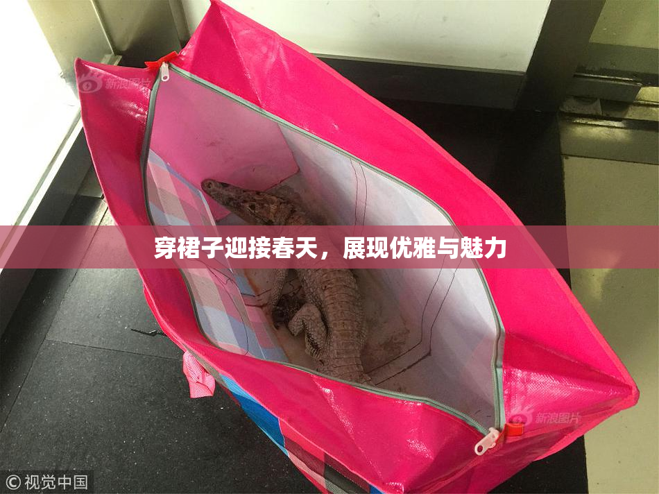 穿裙子迎接春天，展现优雅与魅力