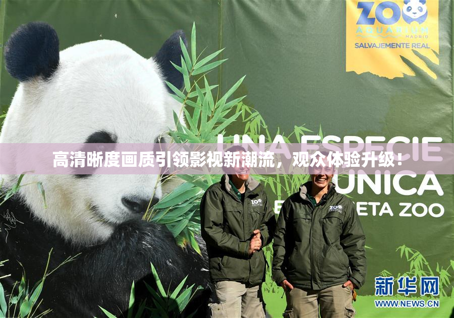 高清晰度画质引领影视新潮流，观众体验升级！