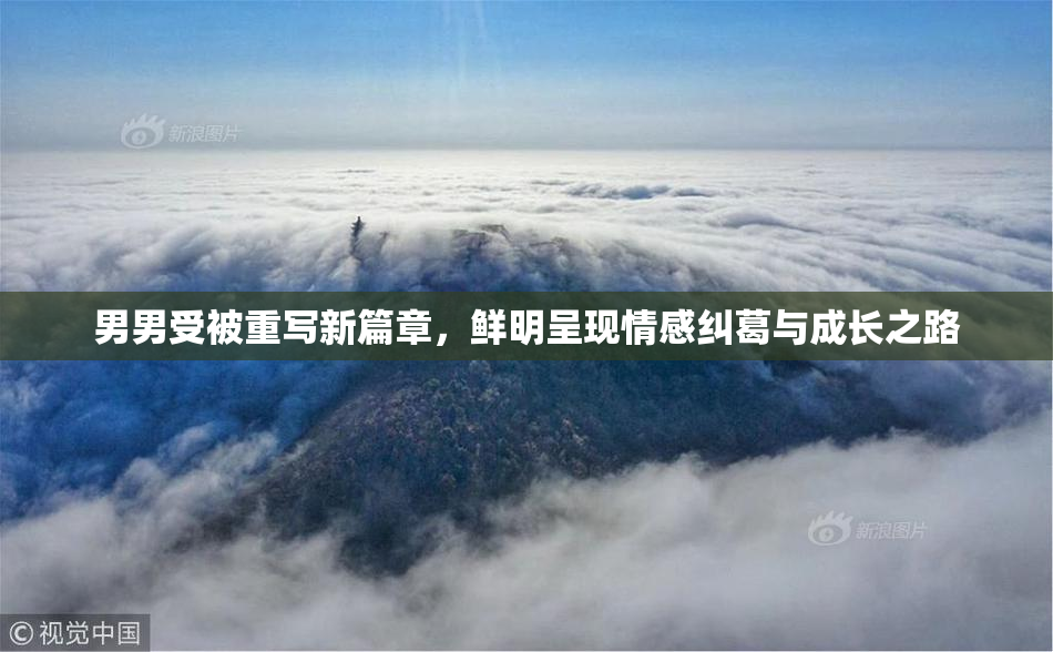 男男受被重写新篇章，鲜明呈现情感纠葛与成长之路