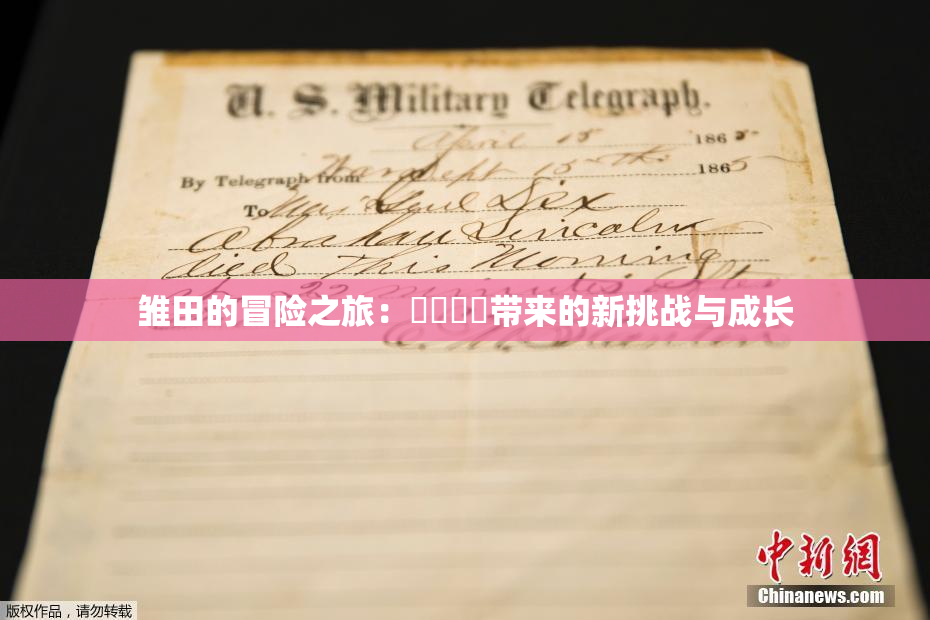 雏田的冒险之旅：❌‌❌‌带来的新挑战与成长