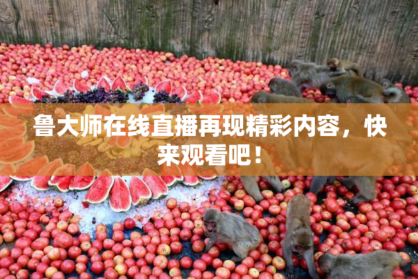 鲁大师在线直播再现精彩内容，快来观看吧！