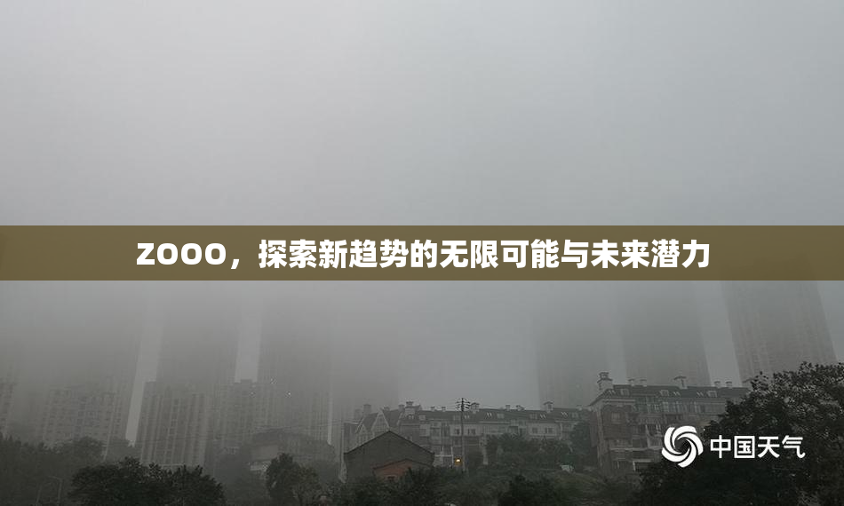 ZOOO，探索新趋势的无限可能与未来潜力