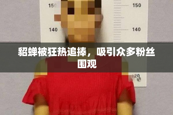 貂蝉被狂热追捧，吸引众多粉丝围观