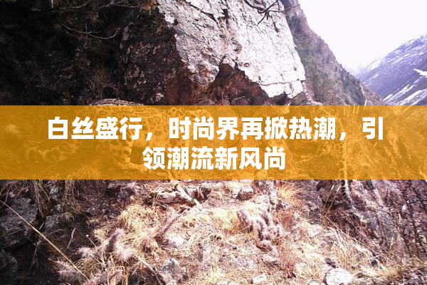 白丝盛行，时尚界再掀热潮，引领潮流新风尚