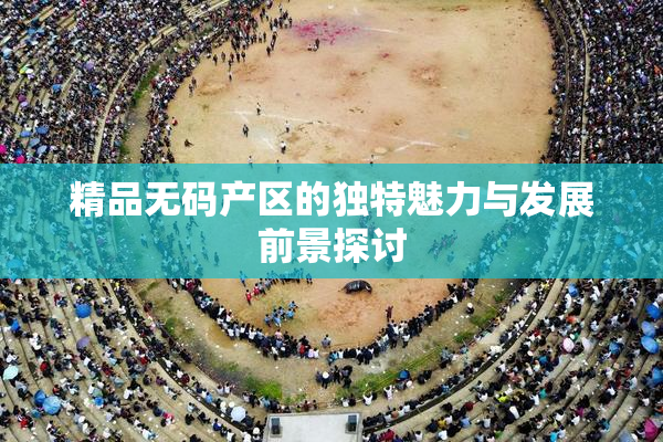 精品无码产区的独特魅力与发展前景探讨