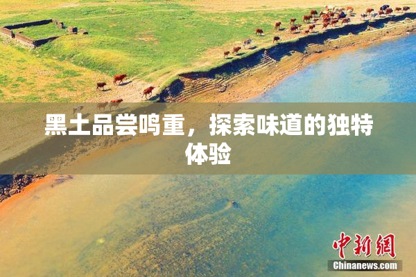 黑土品尝鸣重，探索味道的独特体验