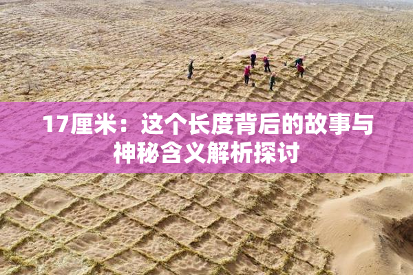 17厘米：这个长度背后的故事与神秘含义解析探讨