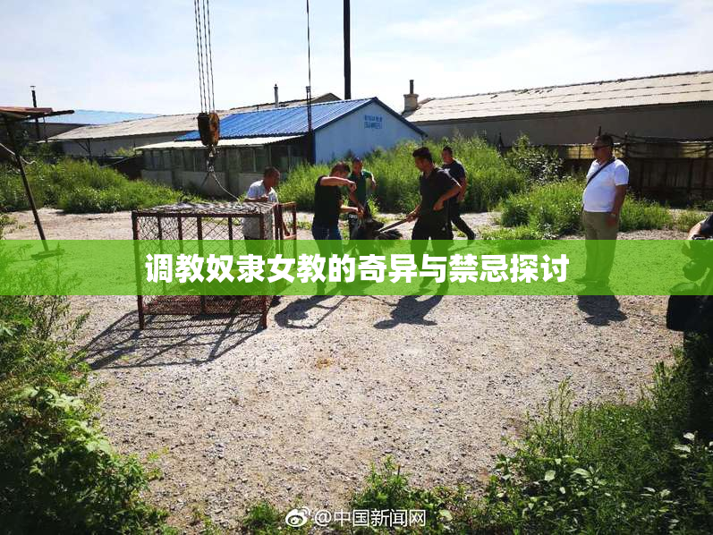 调教奴隶女教的奇异与禁忌探讨