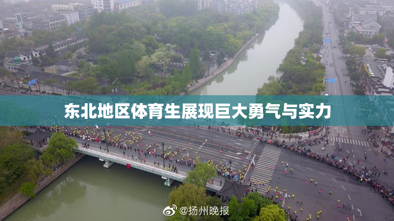 东北地区体育生展现巨大勇气与实力