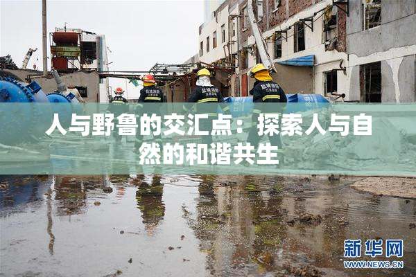 人与野鲁的交汇点：探索人与自然的和谐共生